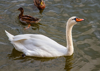 Similar image 21404960