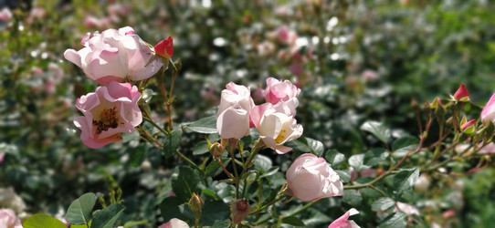 Similar image 21423359