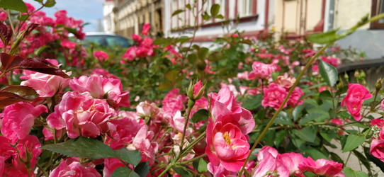 Similar image 21423360