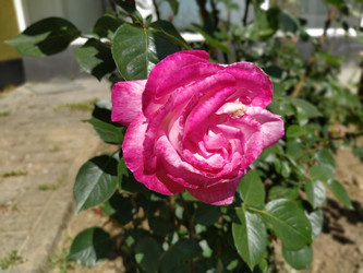 Similar image 21423378