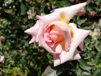 Similar image 21423380