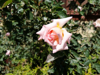 Similar image 21423381