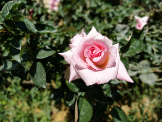 Similar image 21423382