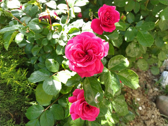 Similar image 21423386