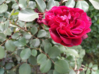 Similar image 21423387