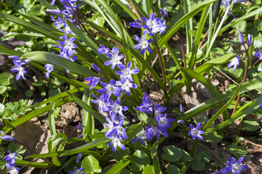 Similar image 21404971