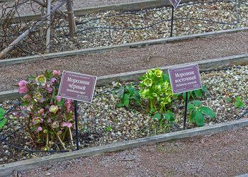 Similar image 21404973