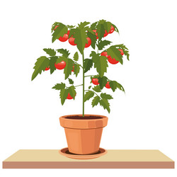 Similar image 21404982