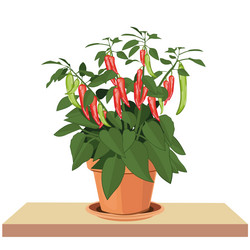 Similar image 21404984