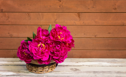 Similar image 21404990