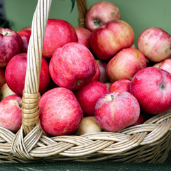 Similar image 21407473