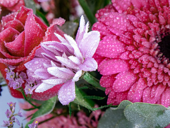 Similar image 21407477