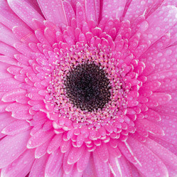 Similar image 21407479