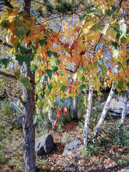 Similar image 21407567