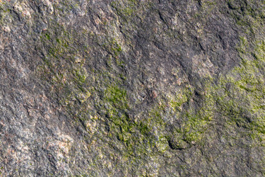 Similar image 21420192