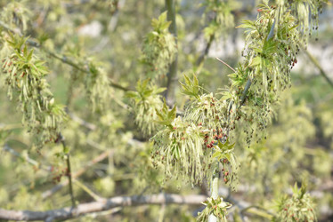 Similar image 21404994