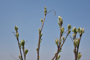 Similar image 21404995