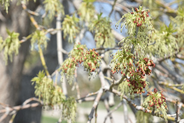 Similar image 21404998