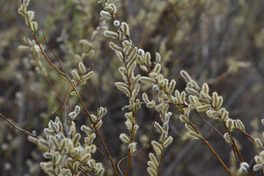 Similar image 21405003