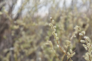 Similar image 21405004