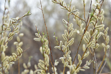 Similar image 21405005