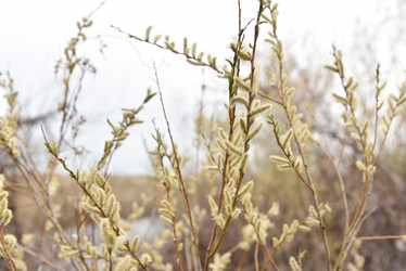 Similar image 21405007