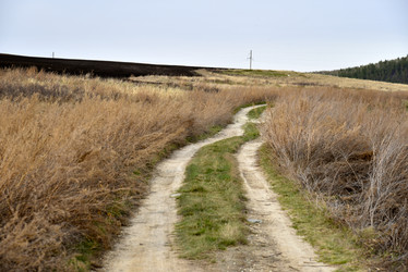 Similar image 21405008