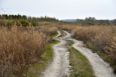 Similar image 21405009