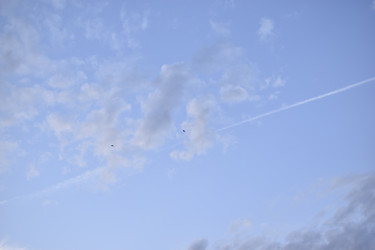 Similar image 21405011