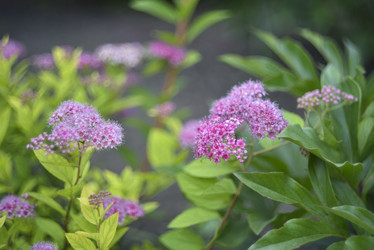 Similar image 21405019