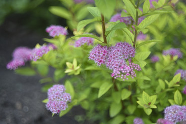 Similar image 21405020