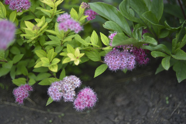 Similar image 21405021