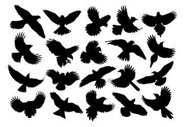 Similar image 21412616