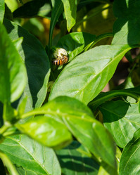 Similar image 21405653