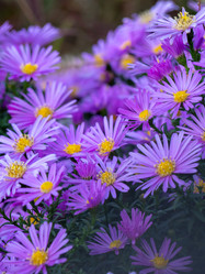 Similar image 21405656