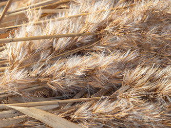 Similar image 21405658