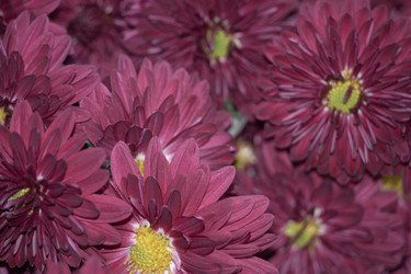 Similar image 21405659