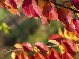 Similar image 21405660