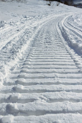 Similar image 21422569