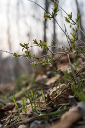 Similar image 21407867