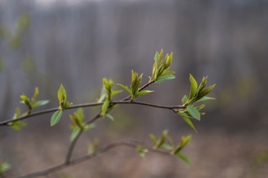 Similar image 21407868