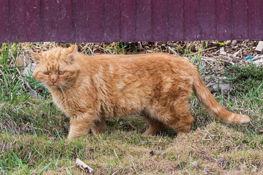 Similar image 21407870