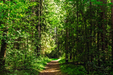 Similar image 21407489