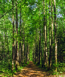 Similar image 21407491