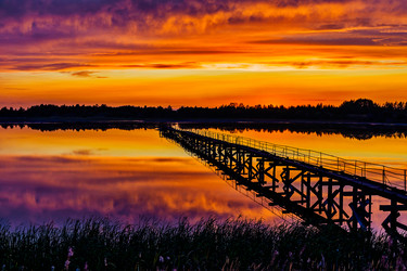 Similar image 21407495