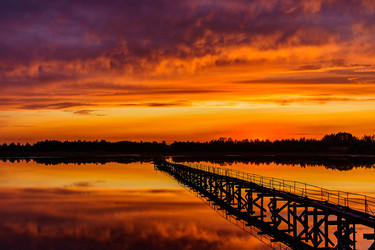 Similar image 21407496