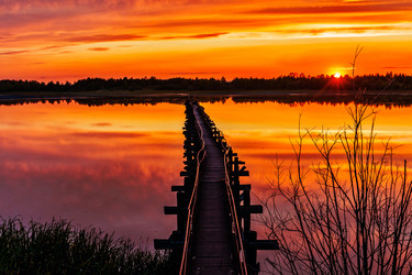 Similar image 21407500