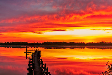 Similar image 21407501