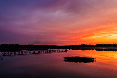 Similar image 21407502