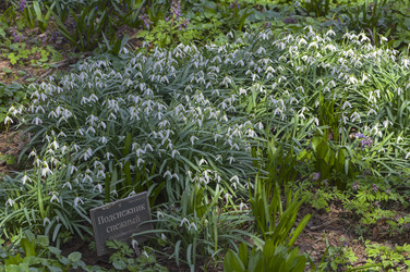 Similar image 21407504